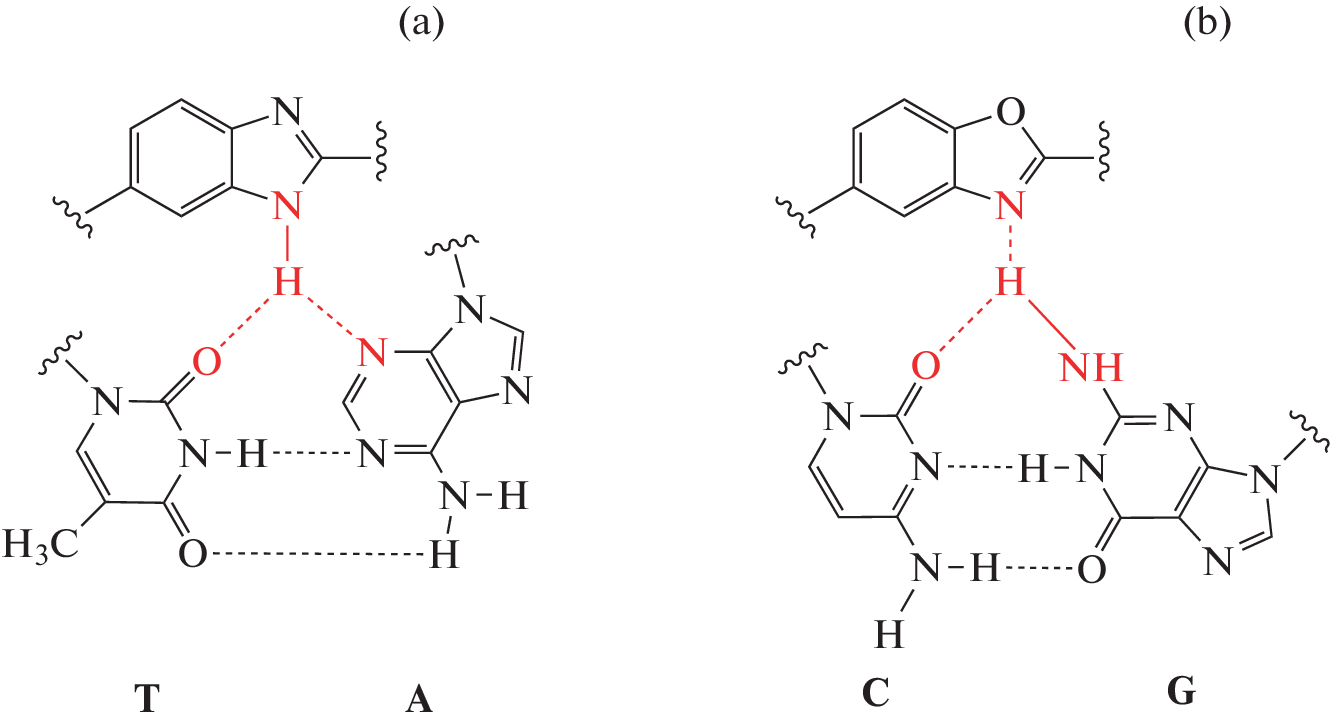Synthesis of a Bisbenzoxazole Analogue of Hoechst 33258 as a Potential GC-Selective DNA Ligand