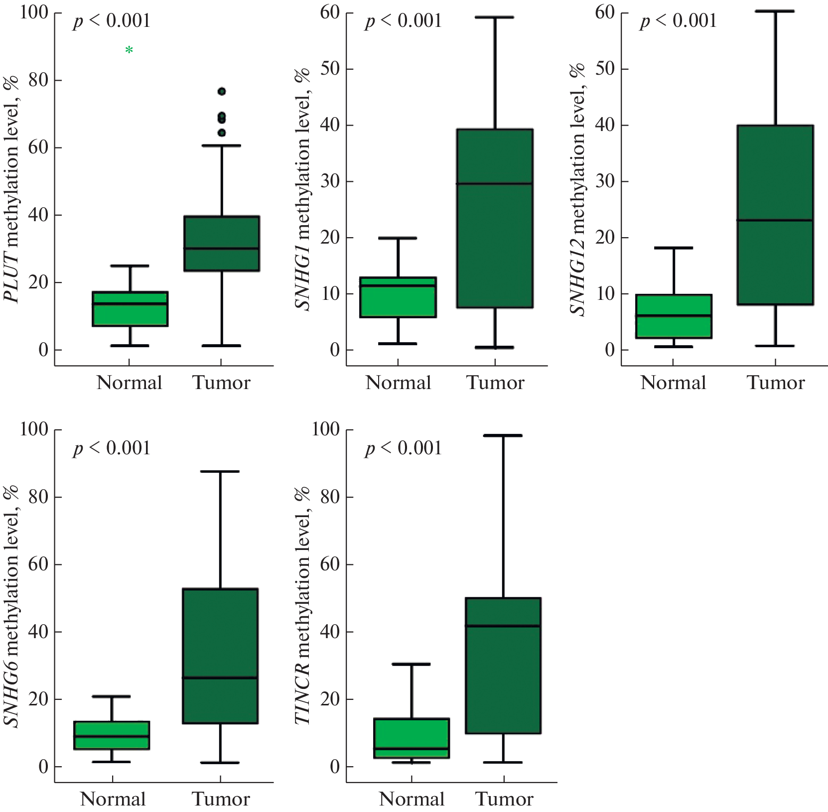 Methylation of Long Noncoding RNA Genes SNHG6, SNHG12, and TINCR in Ovarian Cancer