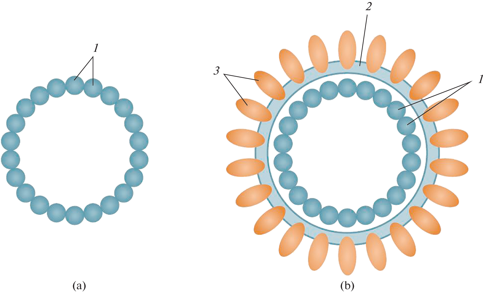 Recombinant VLP Vaccines Synthesized in Plant Expression Systems: Current Updates and Prospects