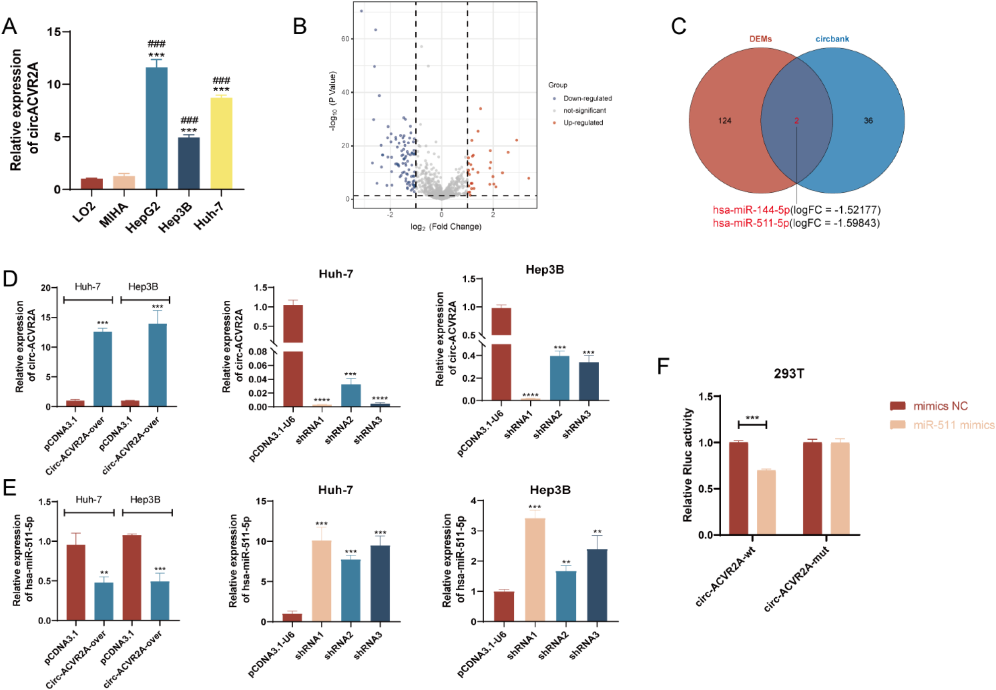 Circular RNA ACVR2A promotes the progression of hepatocellular carcinoma through mir-511-5p targeting PI3K-Akt signaling pathway