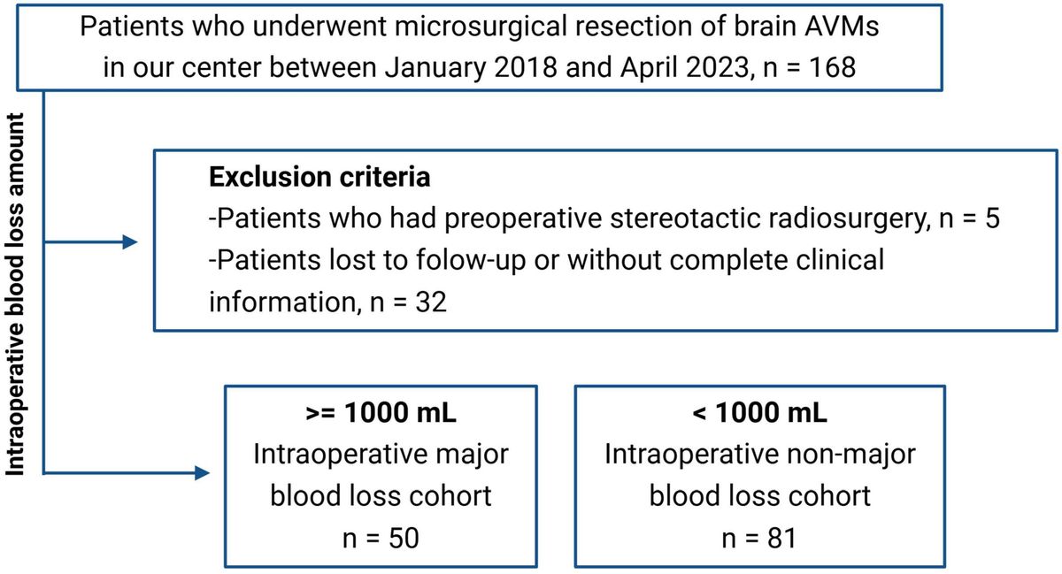 Predicting intraoperative major blood loss in microsurgery for brain arteriovenous malformations
