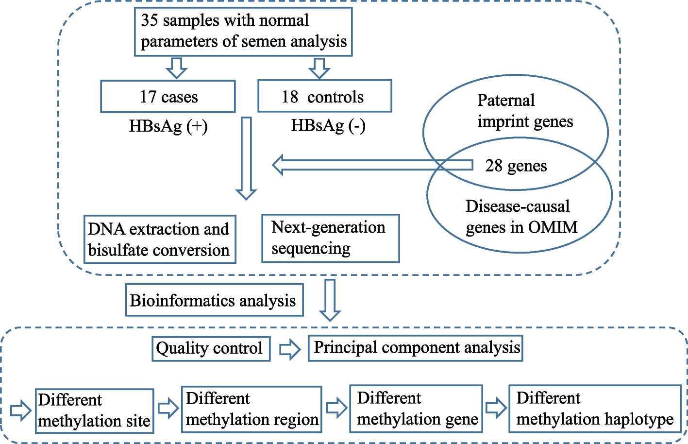 Differential methylation patterns in paternally imprinted gene promoter regions in sperm from hepatitis B virus infected individuals
