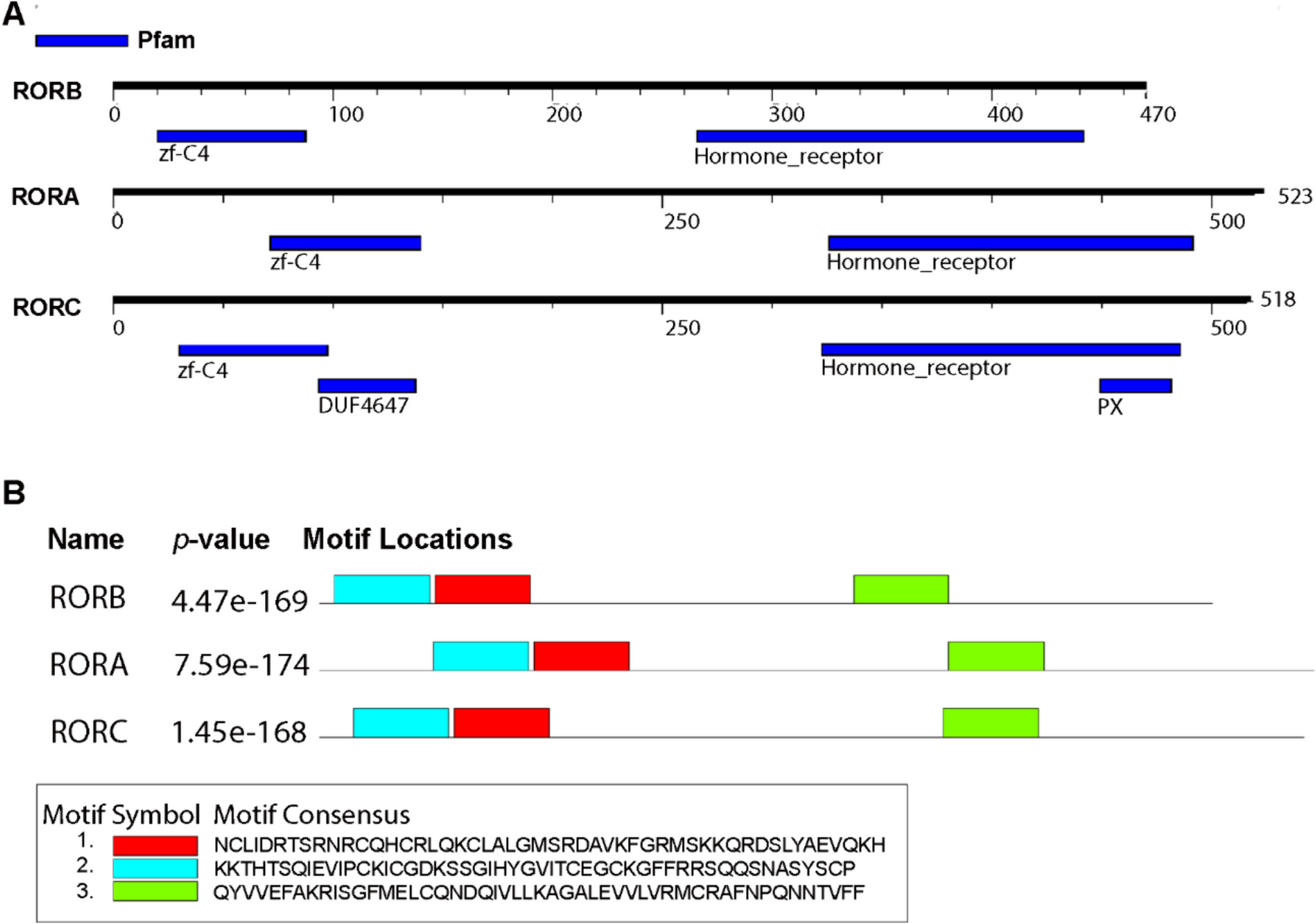 A Complex Interplay Between Melatonin and RORβ: RORβ is Unlikely a Putative Receptor for Melatonin as Revealed by Biophysical Assays