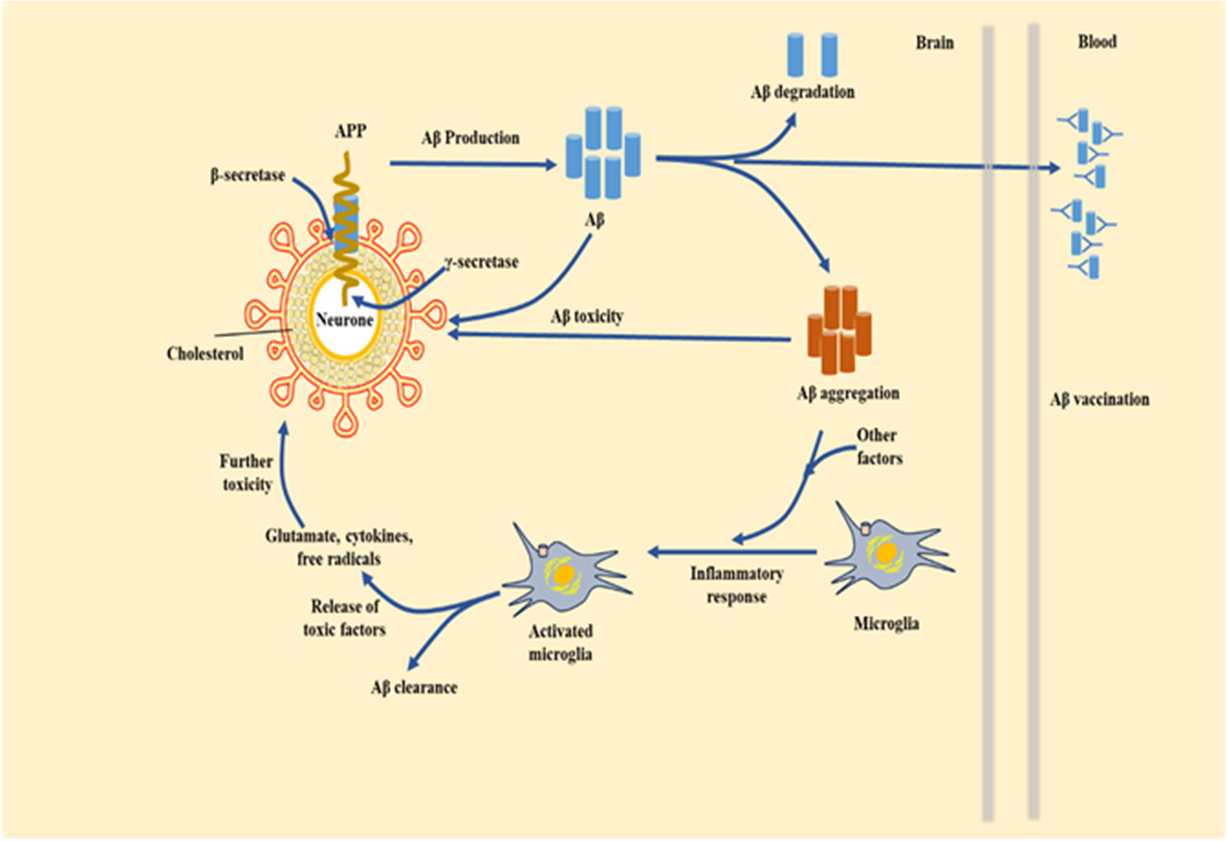 Recent Insights into the Neurobiology of Alzheimer’s Disease and Advanced Treatment Strategies