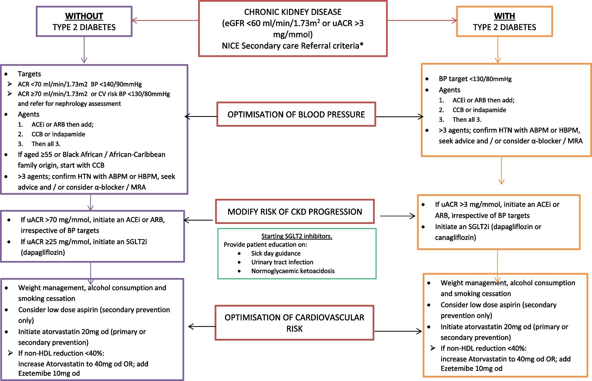 The Leicester, Leicestershire and Rutland quality improvement project and integrated chronic kidney disease system: implementation within a primary care network