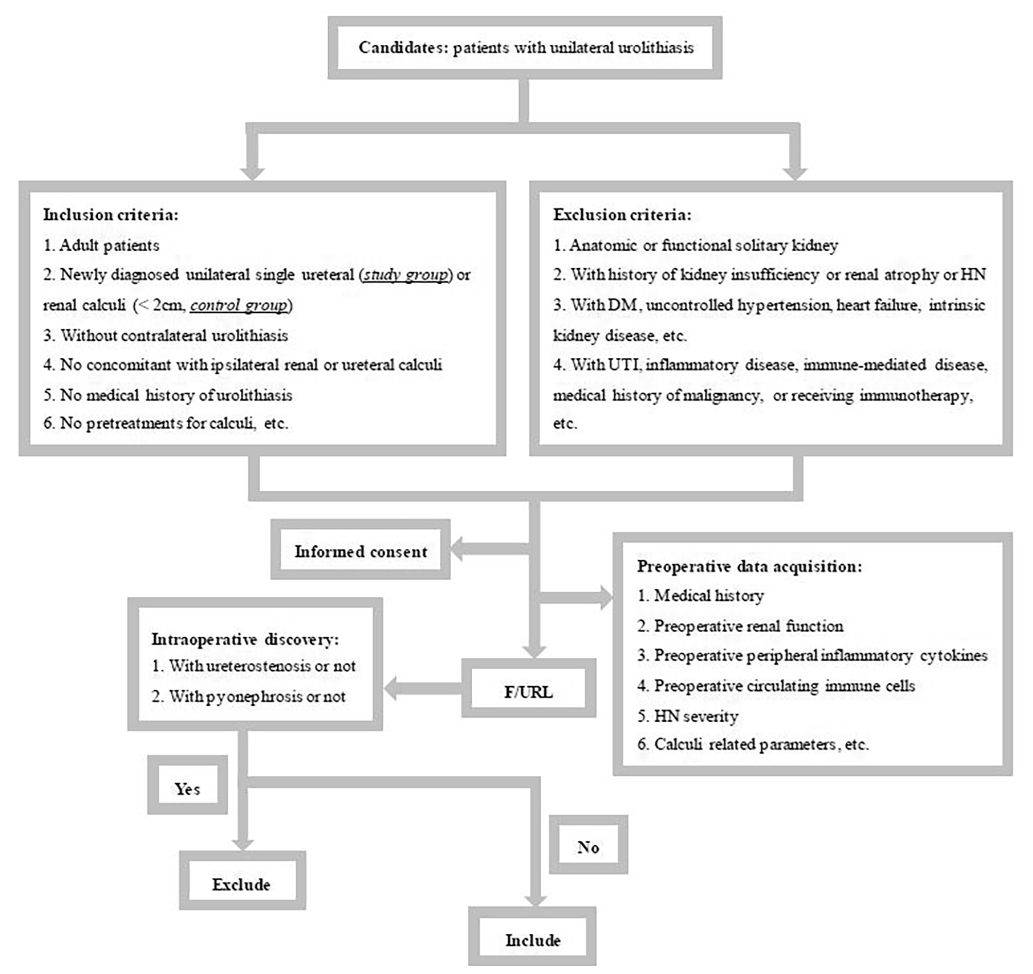 Landscape of peripheral immunity in patients with upper urinary tract urolithiasis and the underlying correlations with renal function