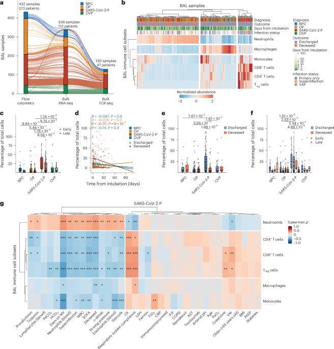 Distinctive evolution of alveolar T cell responses is associated with clinical outcomes in unvaccinated patients with SARS-CoV-2 pneumonia
