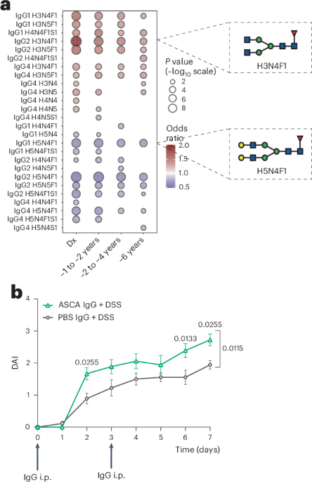 Changes in the glycosylation of circulating IgG predict future Crohn’s disease onset