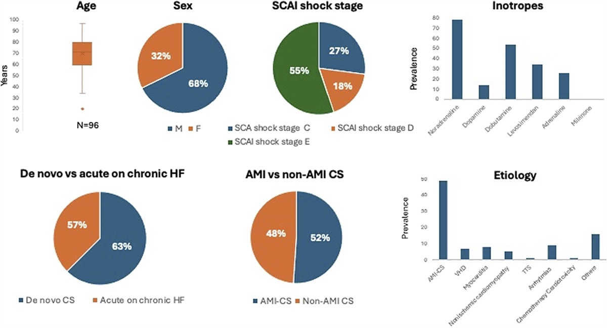 Clinical Characteristics, Management, and Outcomes in Cardiogenic Shock: Insights From a High-Volume Italian Cardiac Intensive Care Unit