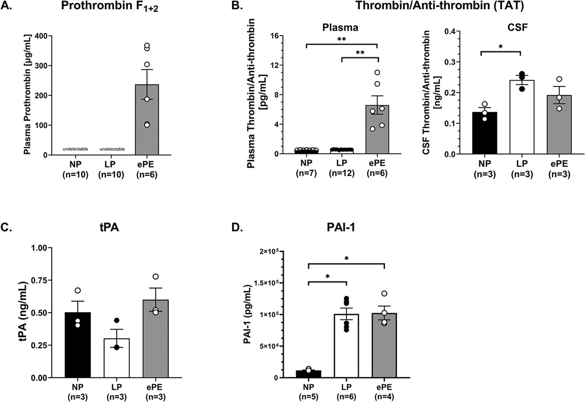 Thrombin in Pregnancy and Preeclampsia: Expression, Localization, and Vasoactivity in Brain and Microvessels From Rats