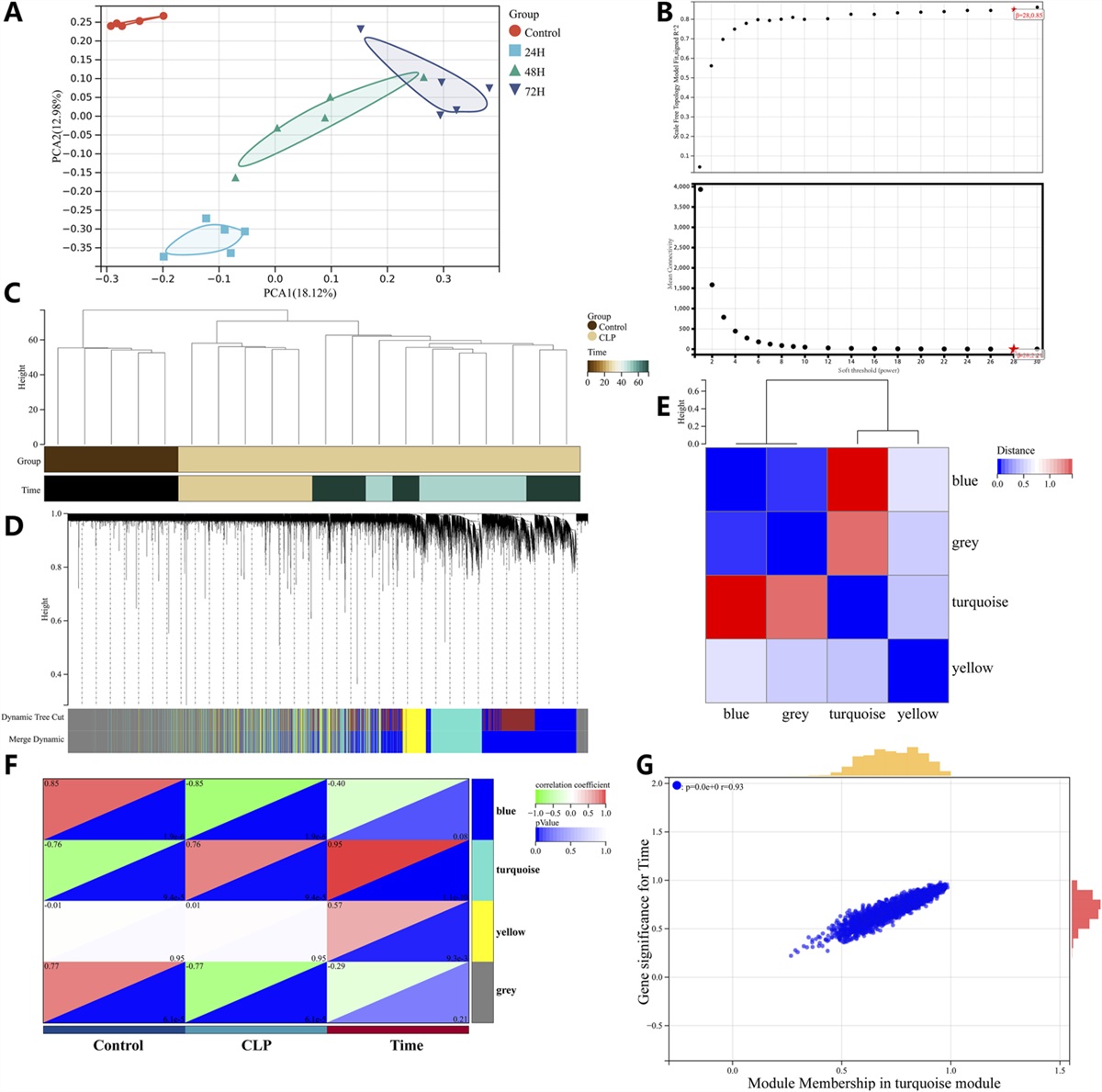 Spock2 Functions as a Key Time-Series Gene of Endothelial Cells in Sepsis-Induced Cardiomyopathy