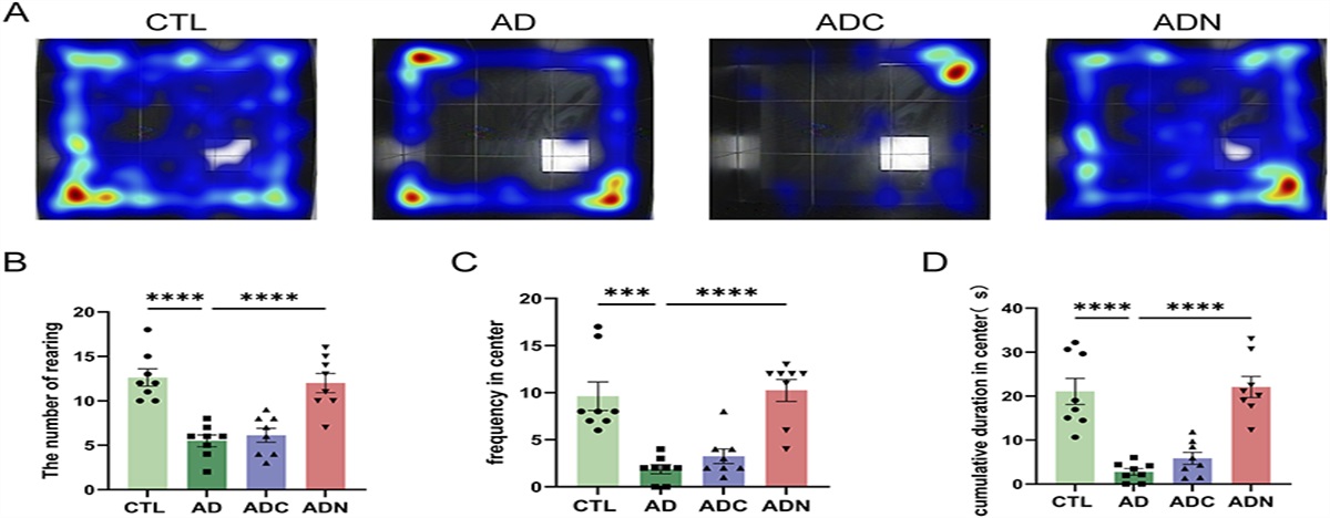 Inhibition of α-Amino-3-Hydroxy-5-Methyl-4-Isoxazolepropionic Acid Receptors Ameliorates Atrial Inflammation and Vulnerability to Atrial Fibrillation in Rats with Anxiety Disorders