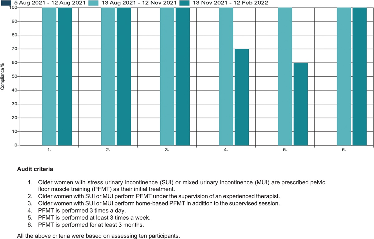 Pelvic floor muscle training for urinary incontinence in older adults: a best practice implementation project