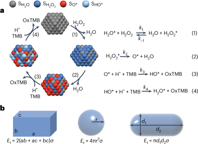 Optimizing the standardized assays for determining the catalytic activity and kinetics of peroxidase-like nanozymes