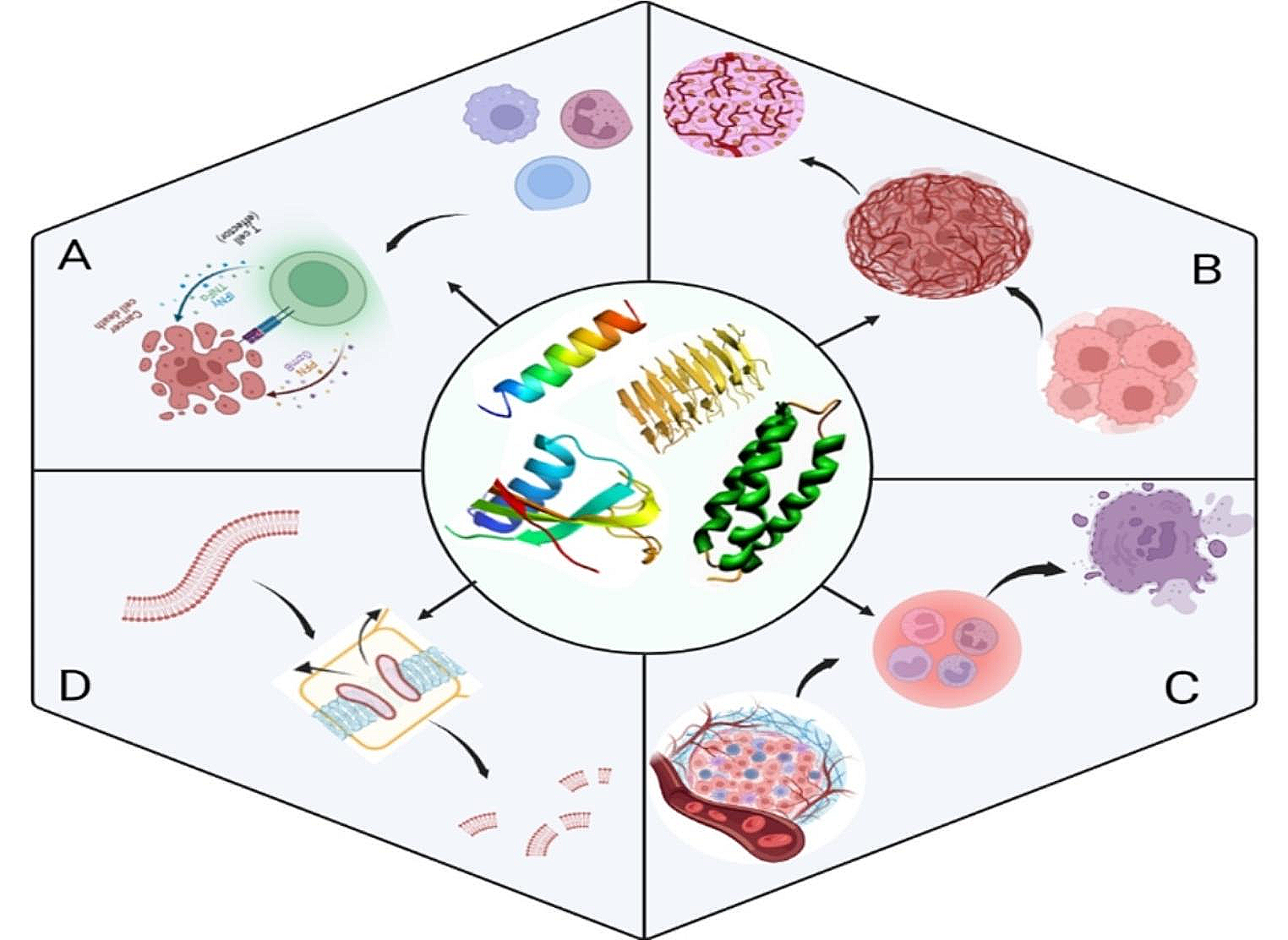 Exploring Therapeutic Potential: A Comprehensive Review of Antimicrobial Peptides in Oral Cancer Management