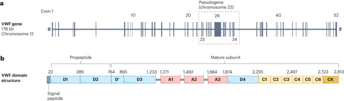 von Willebrand disease