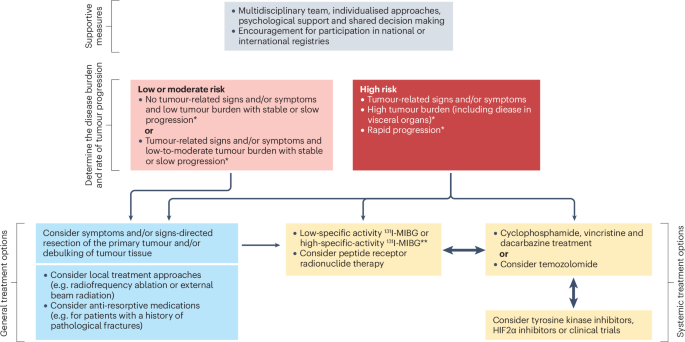 International consensus statement on the diagnosis and management of phaeochromocytoma and paraganglioma in children and adolescents
