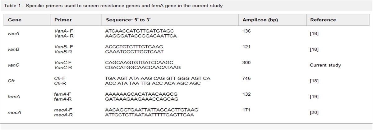 Prevalence of vanA, B, C and cfr resistance genes among clinical isolates of Staphylococcus aureus and their role in biofilm formation
