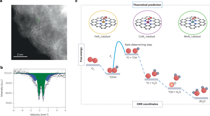 Activity versus stability of atomically dispersed transition-metal electrocatalysts