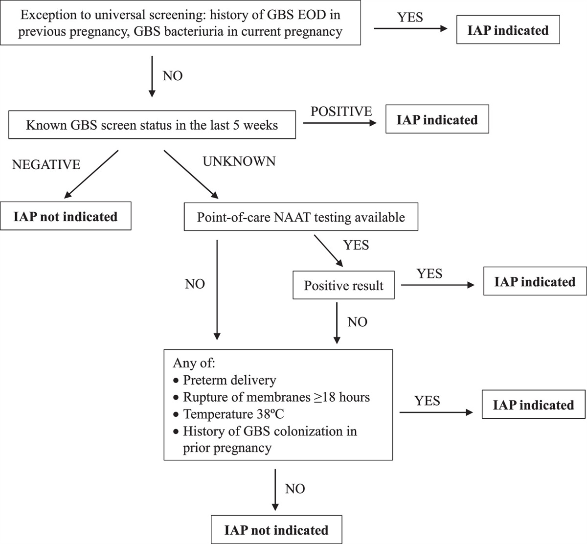 Group B Streptococcus and Intraamniotic Inflammation and Infection