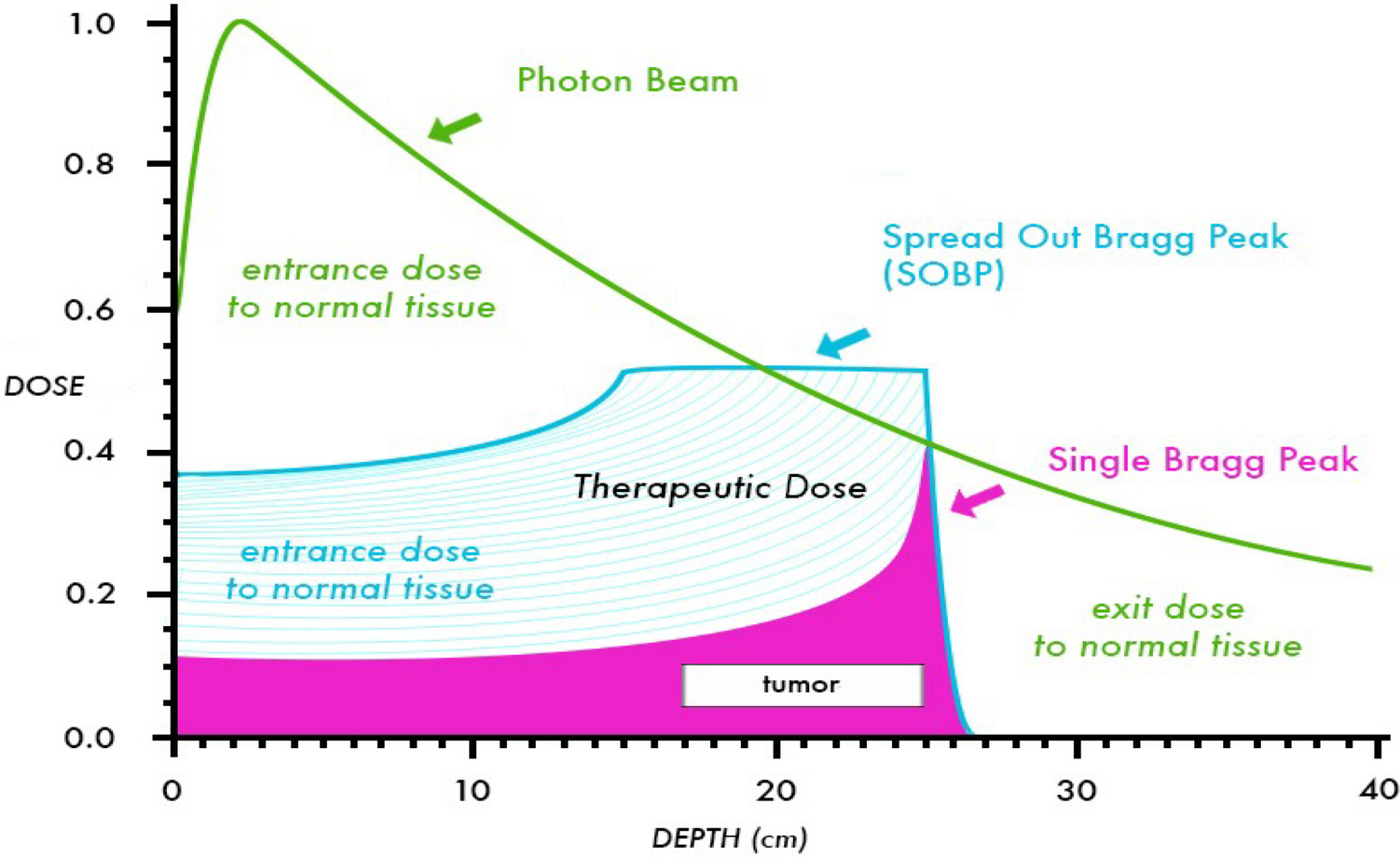 Proton Therapy in The Treatment of Head And Neck Cancers- Review