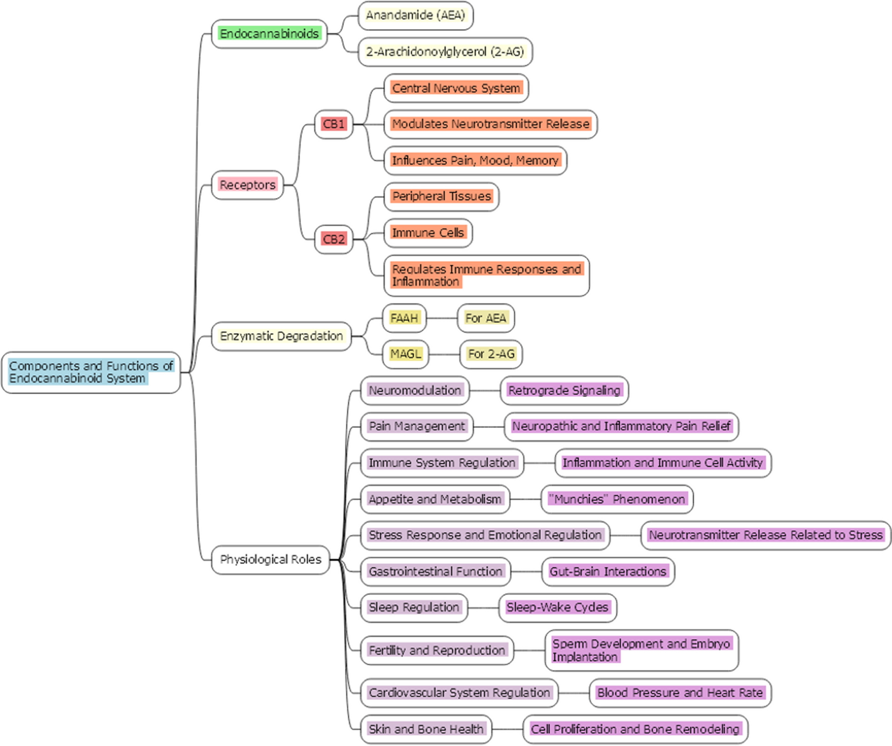 The Role of Cannabinoids in Advancing Cancer Treatment: Insights from Evidence-Based Medicine