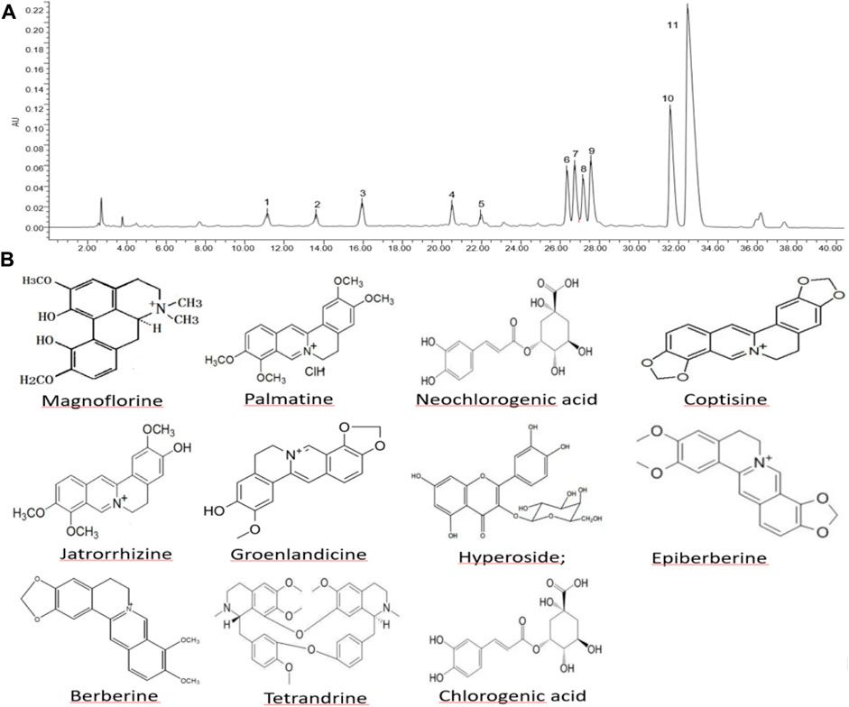 Comprehensive fecal metabolomics and gut microbiota study of the protective mechanism of herbal pair Polygonum hydropiper-Coptis chinensis in rats with stress-induced gastric mucosal damage