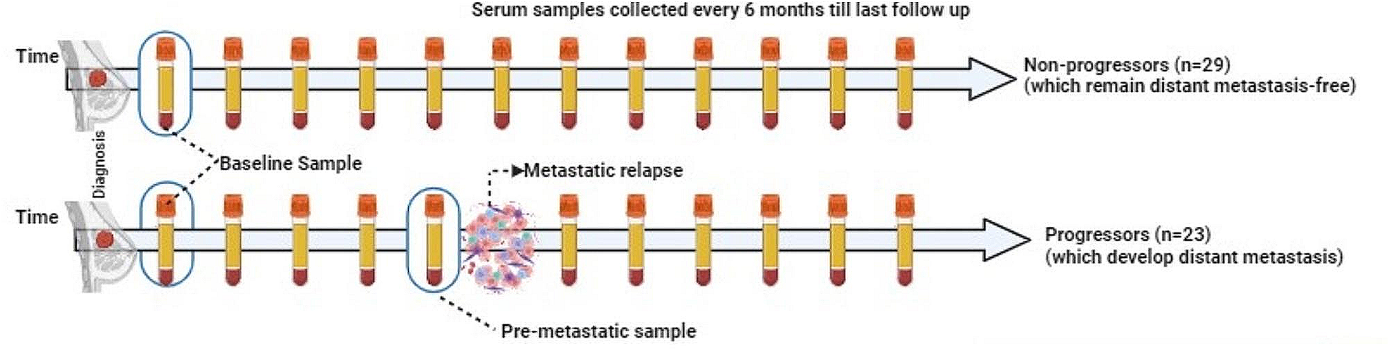 Quantitative proteomics reveals serum proteome alterations during metastatic disease progression in breast cancer patients