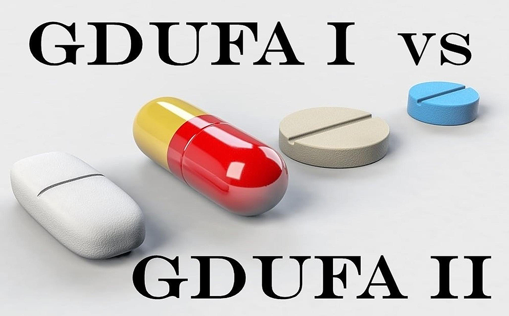 Evaluation of the Generic Drug User Fee Act (GDUFA) Program for Fiscal Years 2013–2022