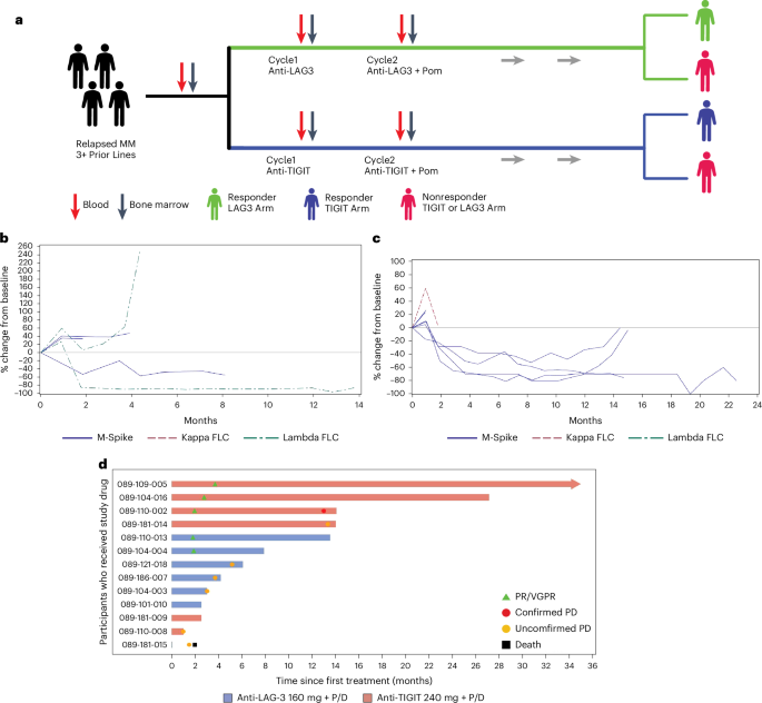 Clinical response and pathway-specific correlates following TIGIT–LAG3 blockade in myeloma: the MyCheckpoint randomized clinical trial
