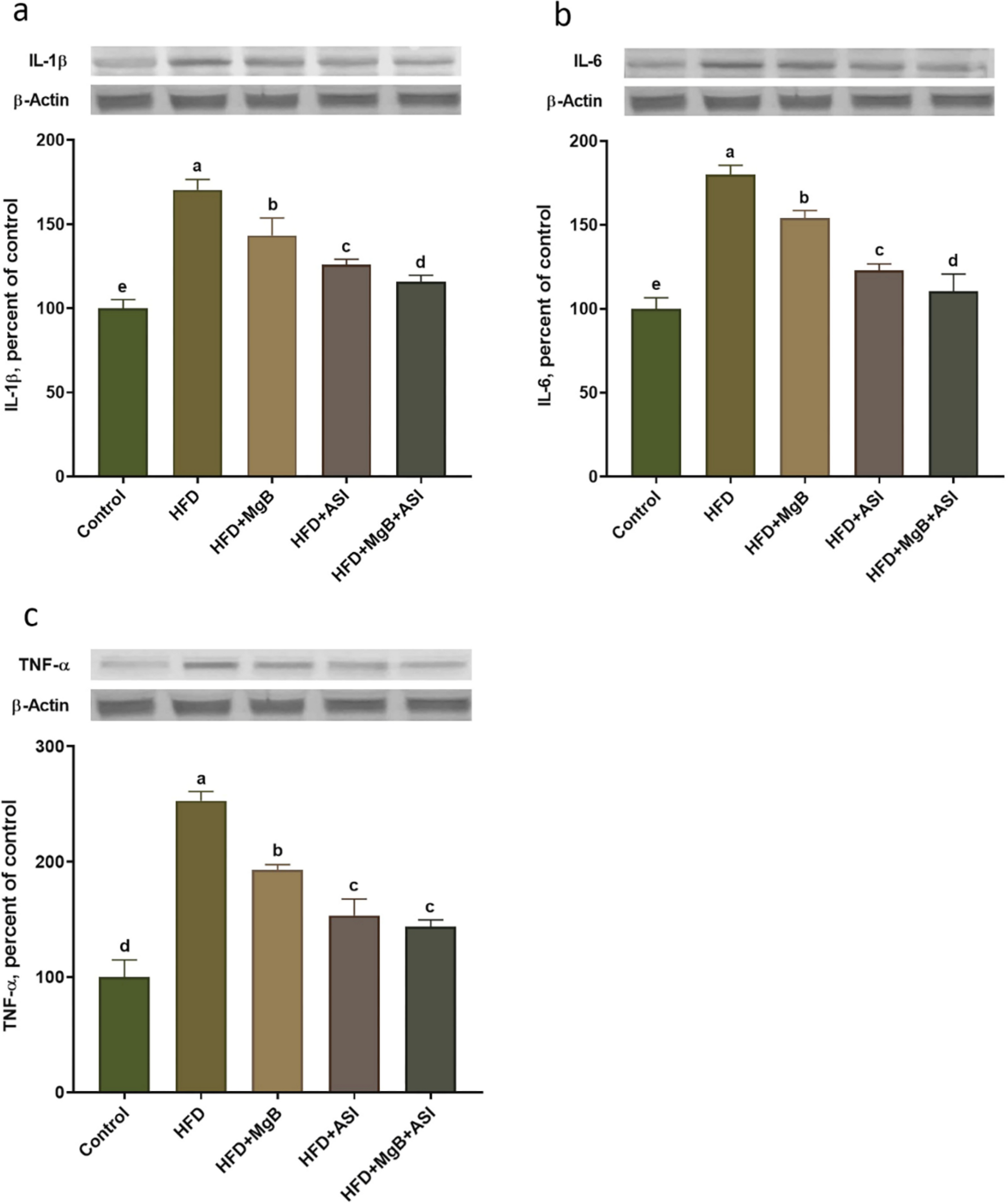 The impact of magnesium biotinate and arginine silicate complexes on metabolic dysfunctions, antioxidant activity, inflammation, and neuromodulation in high-fat diet-fed rats