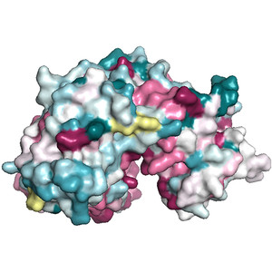 Crystal structure of glycerol kinase from Trypanosoma cruzi, a potential molecular target in Chagas disease