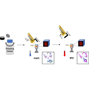 Cryo2RT: a high-throughput method for room-temperature macromolecular crystallography from cryo-cooled crystals