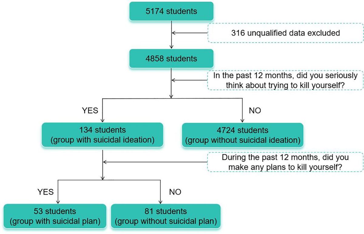 Stress and hope distinguish individuals with suicidal plan from suicide ideators among Chinese college students