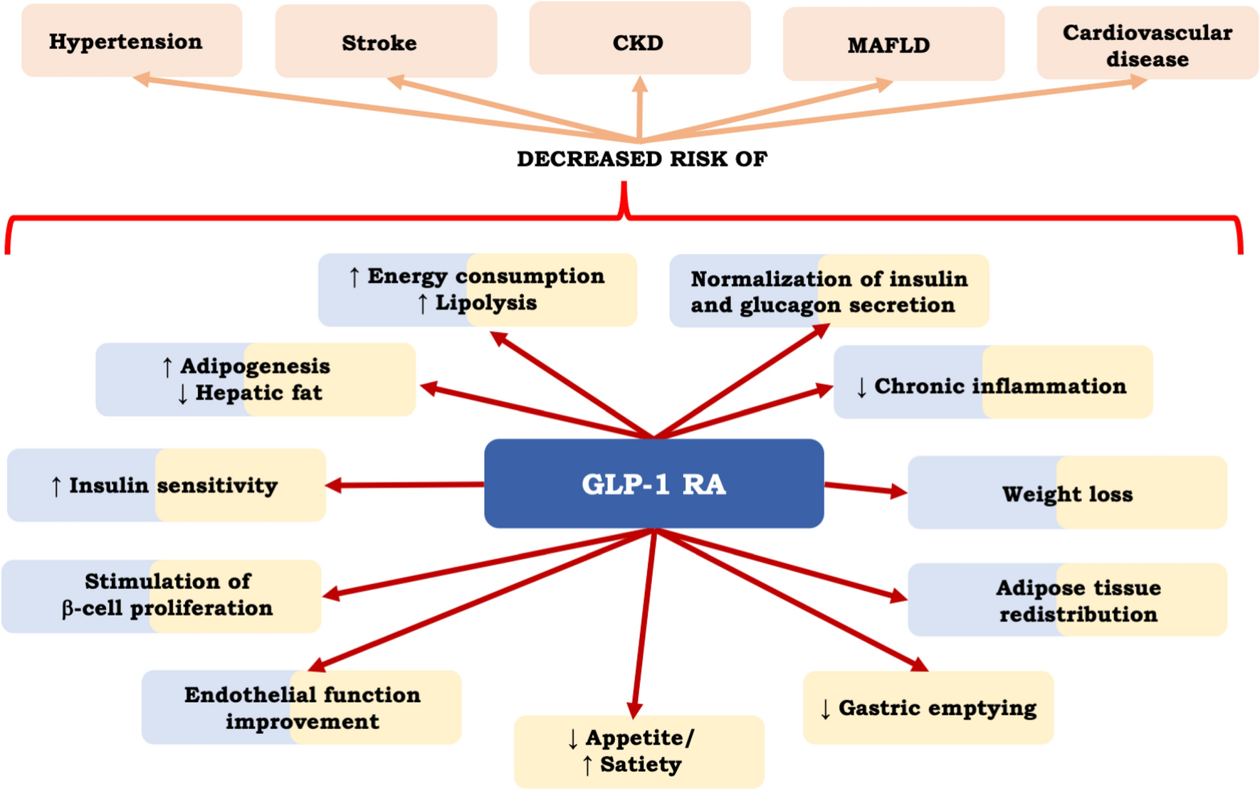 Modern Management of Cardiometabolic Continuum: From Overweight/Obesity to Prediabetes/Type 2 Diabetes Mellitus. Recommendations from the Eastern and Southern Europe Diabetes and Obesity Expert Group