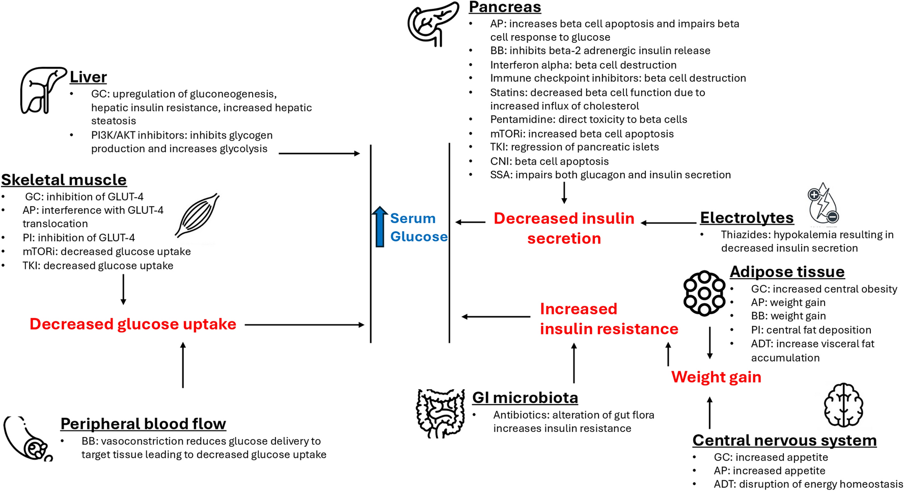 Medication-Induced Hyperglycemia and Diabetes Mellitus: A Review of Current Literature and Practical Management Strategies