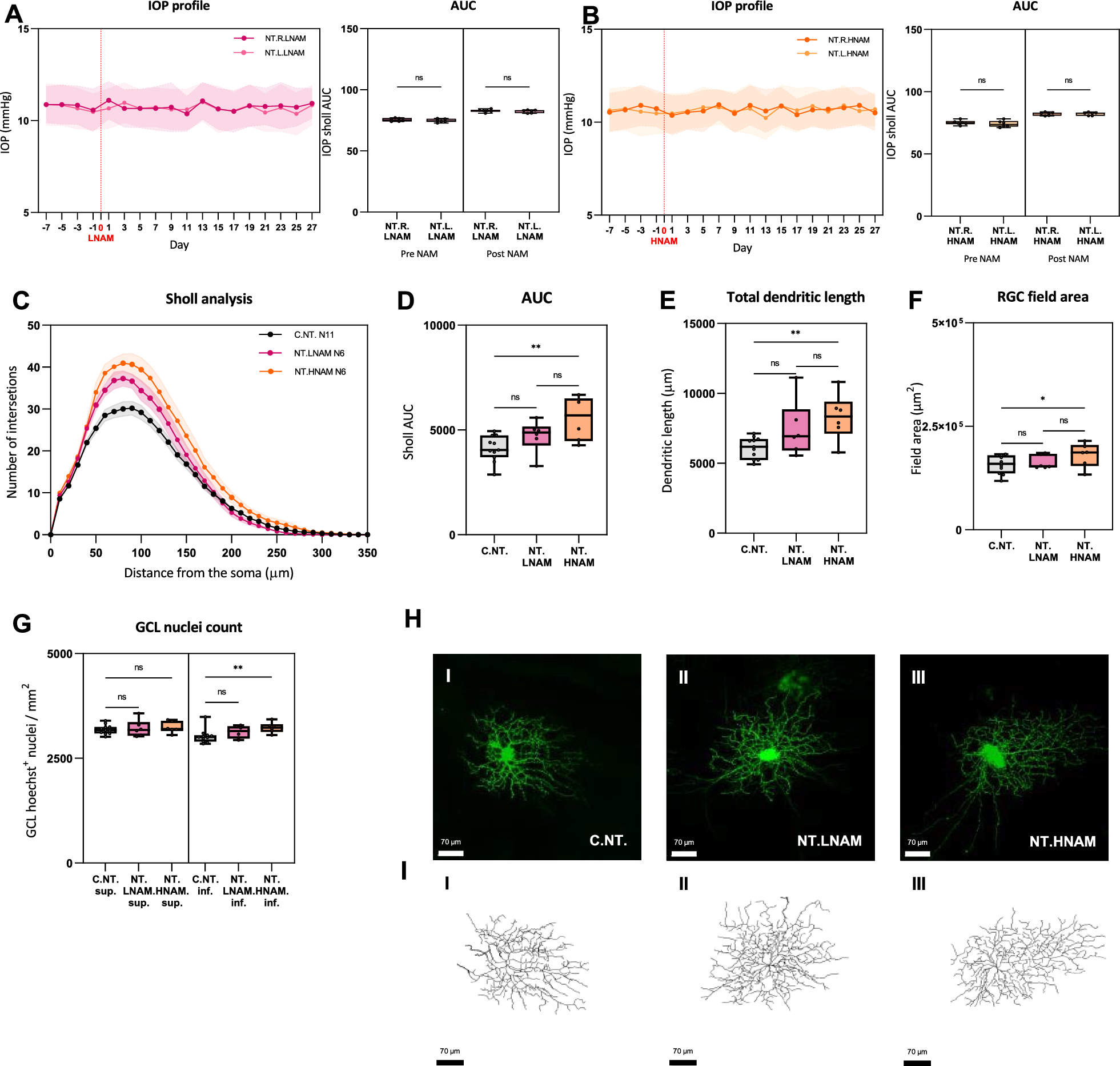 Oral nicotinamide provides robust, dose-dependent structural and metabolic neuroprotection of retinal ganglion cells in experimental glaucoma