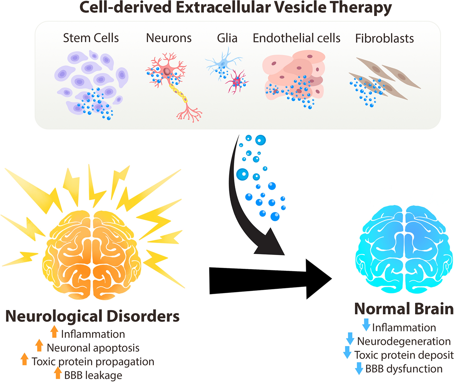 Extracellular vesicle therapy in neurological disorders