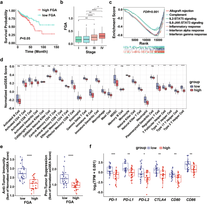 Chromosome instability functions as a potential therapeutic reference by enhancing chemosensitivity to BCL-XL inhibitors in colorectal carcinoma