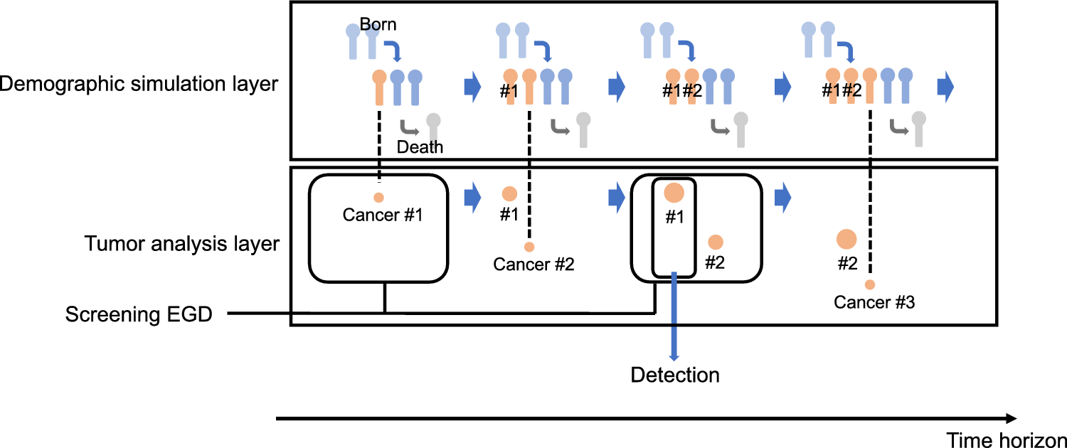 A mathematical simulation model to determine the optimal endoscopic screening strategy for detection of H. pylori-naïve gastric neoplasms