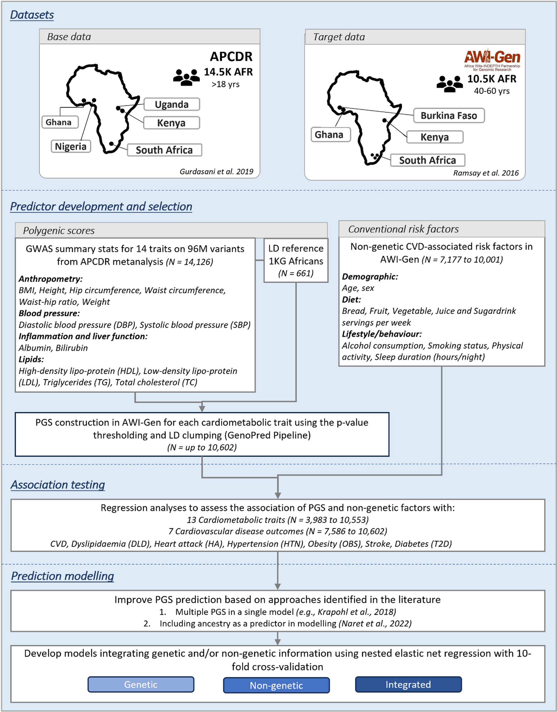 Ancestry-aligned polygenic scores combined with conventional risk factors improve prediction of cardiometabolic outcomes in African populations