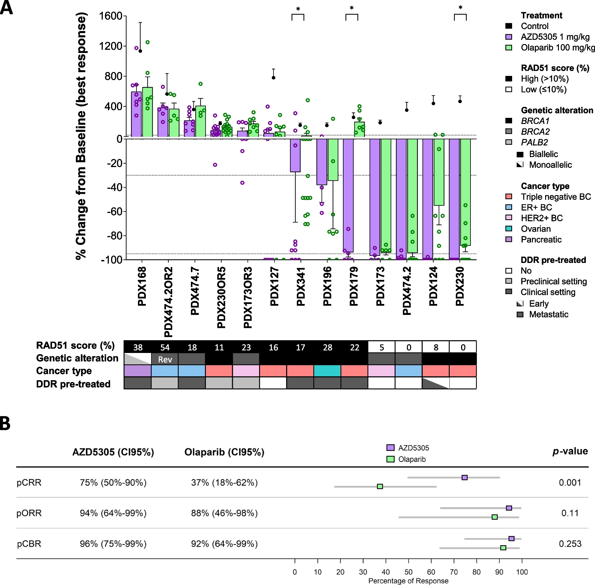The PARP1 selective inhibitor saruparib (AZD5305) elicits potent and durable antitumor activity in patient-derived BRCA1/2-associated cancer models