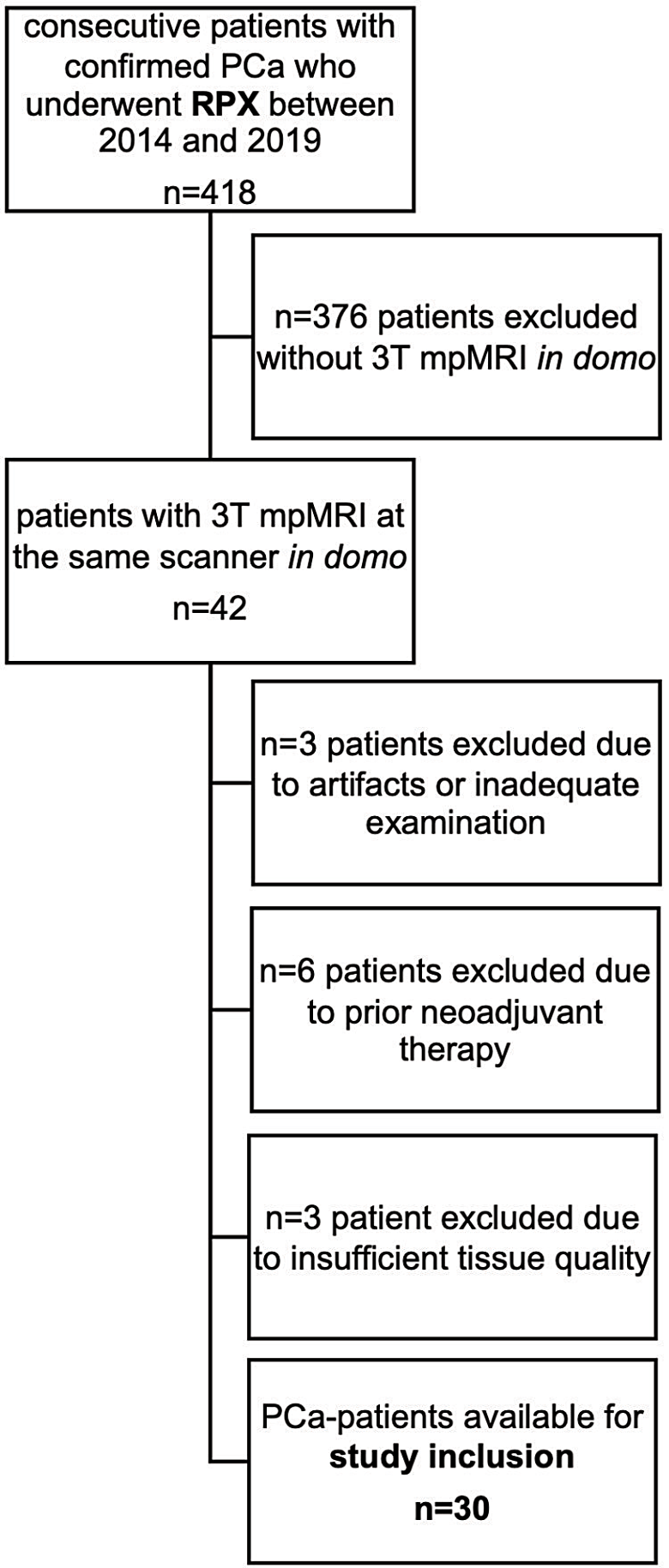 Epigenetic profiling of prostate cancer reveals potential prognostic signatures