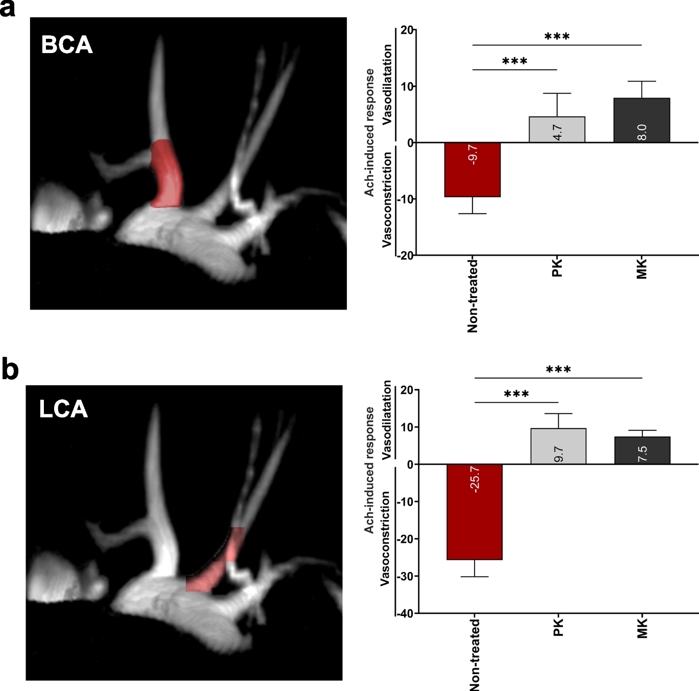 Phylloquinone improves endothelial function, inhibits cellular senescence, and vascular inflammation