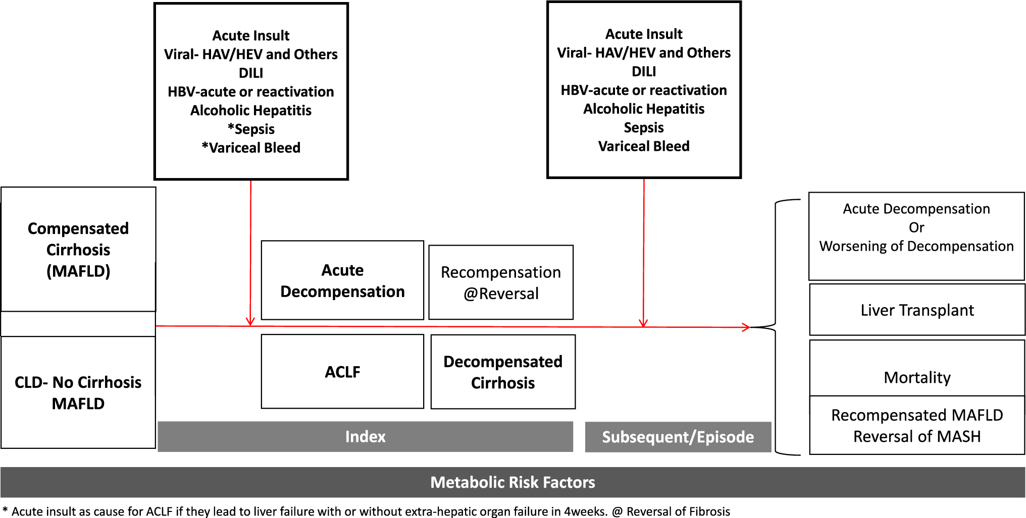 Acute-on-chronic liver failure in metabolic dysfunction-associated fatty liver disease patients: a disease multiplier