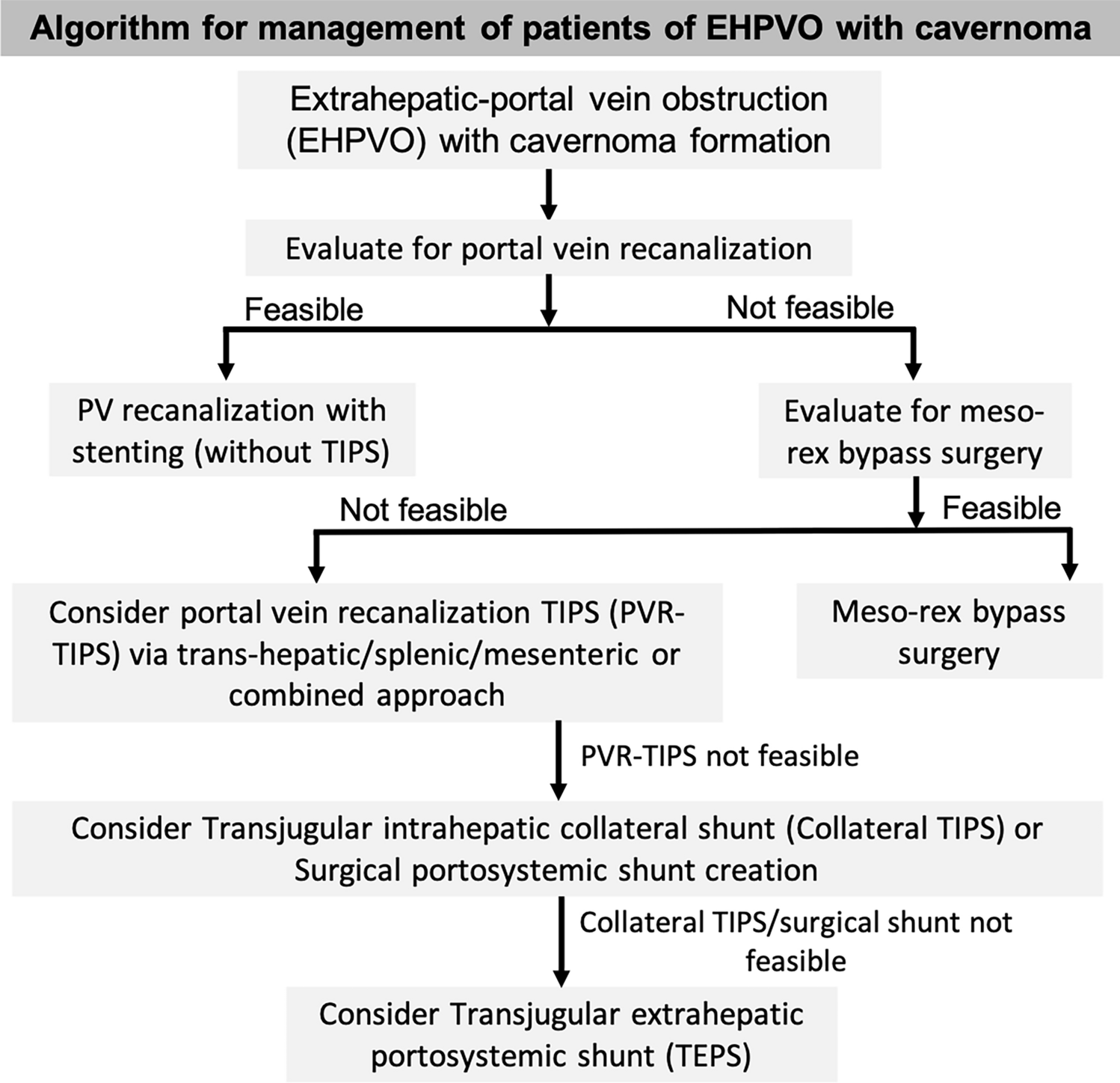 Treating extrahepatic portal-vein obstruction with cavernoma using radiological interventions: pushing the boundaries