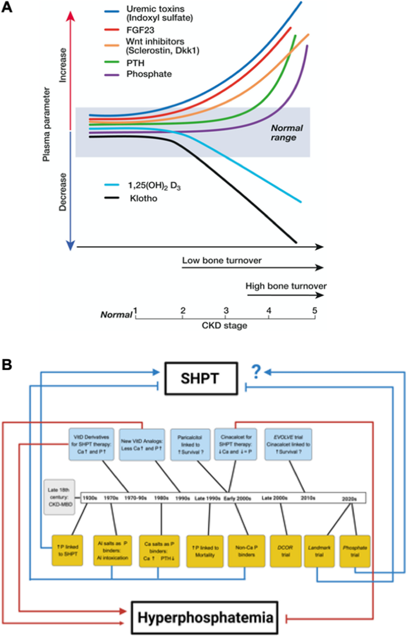 Persistent uncertainties in optimal treatment approaches of secondary hyperparathyroidism and hyperphosphatemia in patients with chronic kidney disease