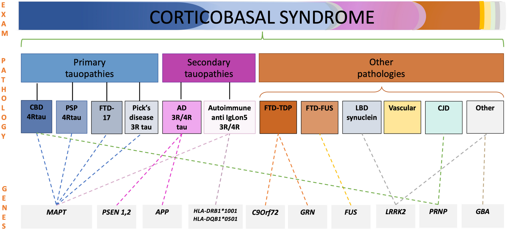 Correction to: Diagnosis and Management of Progressive Corticobasal Syndrome
