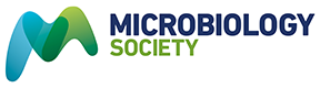 Methicillin-resistant Staphylococcus aureus outbreak in a Dutch equine referral clinic