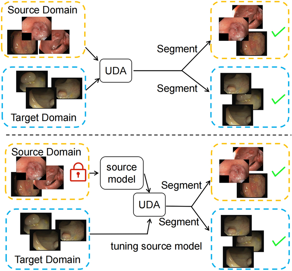 Cross-domain additive learning of new knowledge rather than replacement